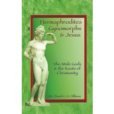 (영문도서) Hermaphrodites Gynomorphs and Jesus: She-Male Gods and the Roots of Christianity Paperback, Ronin Publishing (CA), English, 9781579511715