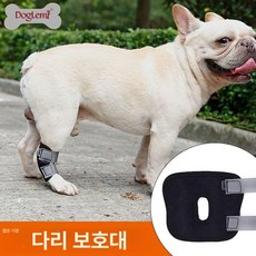 강아지 십자인대 무릎보조기 파열 발목 고양이 슬관절, 숏 블랙, M, 1L
