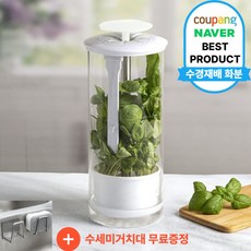 삽목상단 스마트팜 만들기 세트 / 싹트미 스마트팜 수경재배기 산소삽목기, 1개