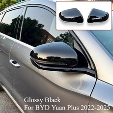 플러스위안 플러스송 프로 순 사이드미러 장식 보호 커버 마모방지, 1개, 1. A