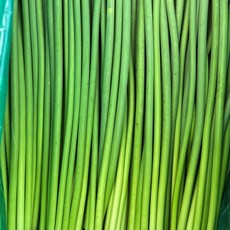 신선 마늘쫑 마늘종 업소용 식자재 식당용, 1박스, 3.2kg-3.5kg(5단)