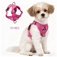 H타입하네스 리드줄 세트, 분홍색