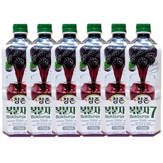 복분자원액 (참존 835ml) X 12, 6개, 835ml