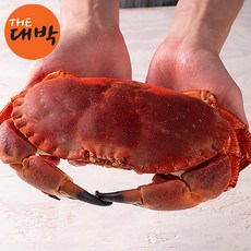 자숙 브라운크랩 마몰라크랩, 1개, 1kg