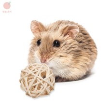 방울스토어 햄스터 장난감 햄스터놀이볼