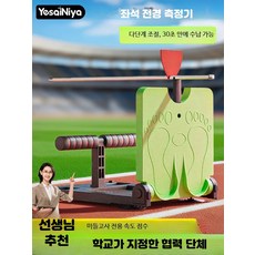 앉아서 팔 뻗기 체력측정기 근력 테스트기 체대 입시용 디지털 배근력계 허리 복부 코어 연습기구, 1개, 고급형 그린 모델