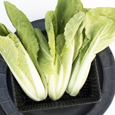국내산 생 얼갈이 단배추 신선 채소, (생)얼갈이 1kg, 1kg, 1개