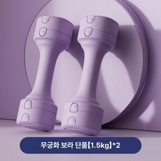 저항 밴드 맨몸운동용 전신 여자 근력, 기본 색상, 히비스커스퍼플 1-3kg