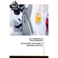 (영문도서)Some basic principles of fractional calculus Paperback, Noor Publishing, English, 9786209740572 Noor Publishing, English, 9786209740572