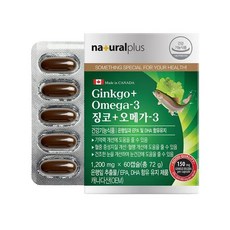 징코 오메가3 60캡슐 1박스(2개월분), 60정, 1박스