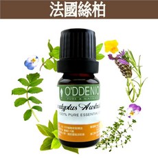 O'DDENIO 法國絲柏純精油, 1個, 法國絲柏10ml