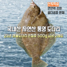 [산지직송] 25년 국내산 자연산 통영 여수 새벽조업 햇 생물도다리 800g 손질후 500g 2세트 급냉, 1박스, 당일팔지못하면 깨끗손질후 급냉도다리 500g 2세트