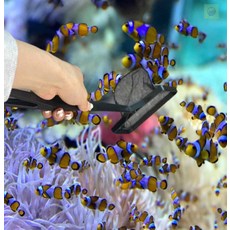 헬로라일락 어항뜰채 대형 구피뜰채