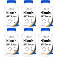 뉴트리코스트 니아신 비타민 B3 500mg 240정, 6개