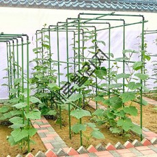 제로빌리지 덩굴식물 지지대 원예용 식물 지주대 오이 토마토 포도 재배망, 11형 - 90x150x150