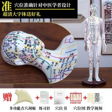 한의원 마네킹 경혈 인형 동상 실습 모델 한방 교육 혈자리마네킹 인체모형, 6. 화이트 여성 하드 60cm 확대, 1개