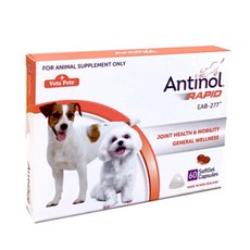 安適得 酷版 犬貓保養保健膠囊60顆 貓狗適用 酷涼配方 維護皮膚健康 提升免疫力, 1個, 安適得 酷版 150入, 成年, 150顆