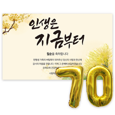 애드플로우 칠순 현수막 생신 잔치 축하 풍선 포함, 혼합색상