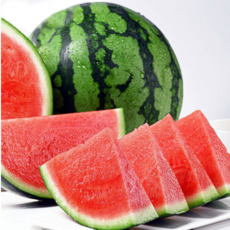 [한정특가] 고당도보장 제철맞은 정품 꿀수박, 1개, 5-6kg