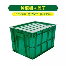 콩나물 재비 용기 무순 급수 UMI 3A 발아기 키트 3단 키움 숙주 관찰 기르는, 1개