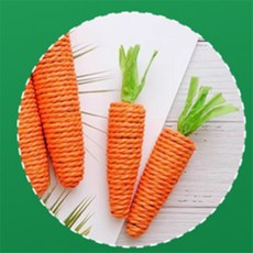 콩군하우스 애견 로프장난감 흥미유발