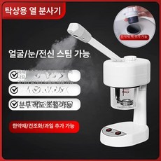 페이스스티머 헤어 얼굴 홈케어 안면 스프레이 관리기, 기본 색상, 06 데스크탑 약품백 타입 핫스프레이