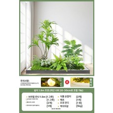 화분 조경 나무 A 참조 식물 모서리 장식 실내 계단, 니우얼싱 1.8m