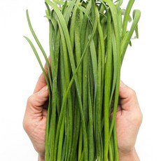 푸레아 국내산 특품 두메부추 1팩 150g, 두메부추 1팩(150g)