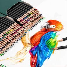 전문가용 색연필 초보자 미술 회화용 유성 색연필 세트, 1개, 120색