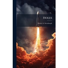 (영문도서)Holes Hardcover