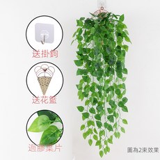 仿真綠蘿客廳掛墻綠植 壁掛植物裝飾 垂吊假花藤 條室內藤蔓吊蘭吊籃, 過膠綠蘿葉吊蘭2束(送三角籃), 1個