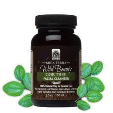 시어테라오가닉스 카실 곱트리 페이셜 클렌징 파우더, 150ml, 1개