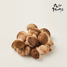 순천향 송화버섯 맛있는 국산 생 송화버섯 산지직송, 1박스, 1kg