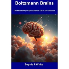 (영문도서) Boltzmann Brains: The Probability of Spontaneous Life in the Universe Paperback, Independently Published, English, 9798307747711