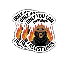 (3 장) Only You Can Prevent Fascist Liars 스티커 - 정치적 데칼 - 데칼 스티커 7.6cm 노트북 물병 전화용, (3 장) Only You Can Prevent Fas