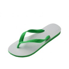하바이아나스 트래디셔널 플립플랍 쪼리 Leaf Green 123368