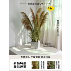 모조 갈대 대형 인조갈대 중식당 생화같은 조형소나무 식탁장식 넓은 대형인조나무 석류나무, 1 2m 아이언 갈대 시멘트 대야, 1개