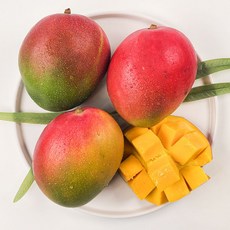 [재구매율1위] 아셀농장 당도선별 애플망고, 1박스, 2kg