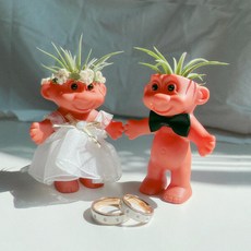 아트박스/갓샵 트롤 이오난사 화분 키우기 2종 (신랑/이오난사X), 1개