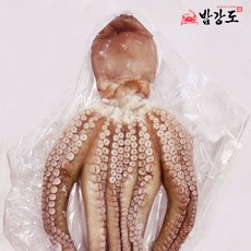 국산 손질 문어 700g, 1개
