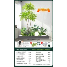실내외 인조 화단 조경 꽃상자 베란다 회사 모조, 남쪽 천나무 소형 조경