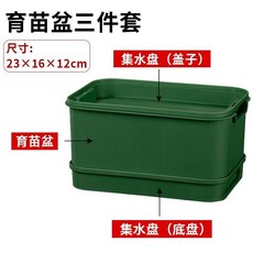 【開發票/統編】家用豆芽機 食品級免插電綠豆芽培育盆 懶人自動排水發芽神器 無毒育苗器, 1個, 【芽苗盆1套】墨綠+2集水盤, 墨綠