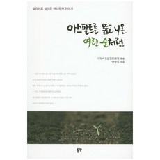 아스팔트를 뚫고 나온 여린 순처럼:살리미로 살아온 여신학자 이야기, 동연