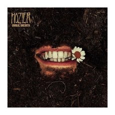 Hozier Artist Composer Performer Vinyl 비닐 LP 레코드 Unreal Unearth 미국 발송, Hozier Artist Composer Perform