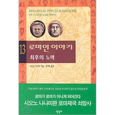 로마인 이야기 13 : 최후의 노력, 시오노 나나미 저/김석희 역, 한길사