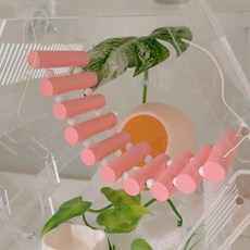 야야랜드 파스텔 사다리 백업 출렁다리 징검다리 도마뱀 파충류 놀이터, 비비드핑크, 1개