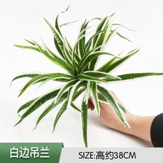 【Sunday】仿真植物牆配草 尤加利 波斯草 仿真蕨類綠植 仿真綠植 盆栽把束 假花草插件 插花配葉 商場綠化景觀草, 白邊吊蘭, 1個