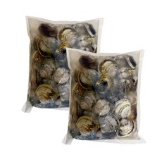 [1차해감완료] 청정거제직송 생물 참백합 조개, 1박스, 2kg