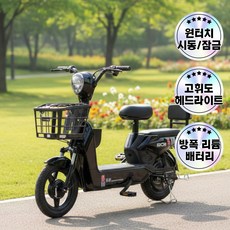 시티온 전기자전거 전동자전거 성인용 고출력 휴대용 가성비 자전거 48V 출퇴근전용 자토바이 등하원, F.블랙(20Ah), 경량스틸