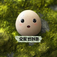 반려 돌멩이 애완용 돌 키우기 나의 반려돌, 3.오팔반려돌만, 1개